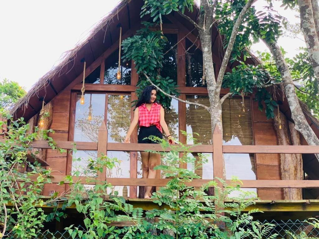 Kale Cottage Belihuloya Luaran gambar