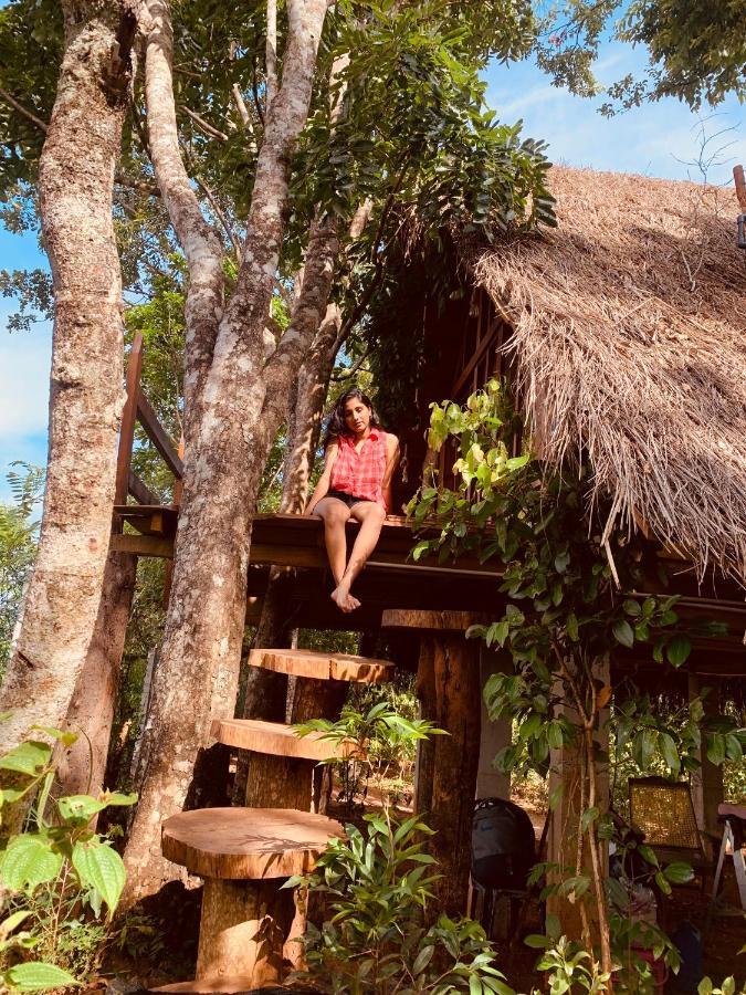 Kale Cottage Belihuloya Luaran gambar