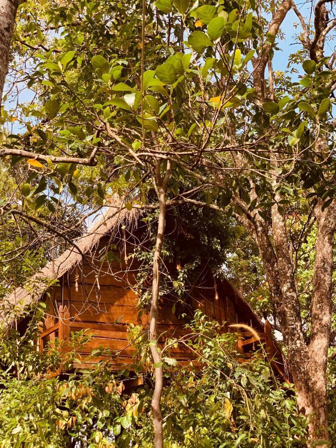 Kale Cottage Belihuloya Luaran gambar