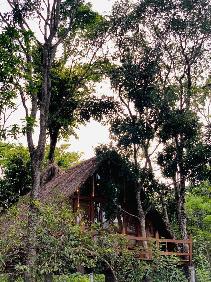 Kale Cottage Belihuloya Luaran gambar