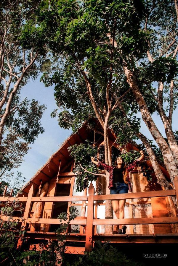 Kale Cottage Belihuloya Luaran gambar