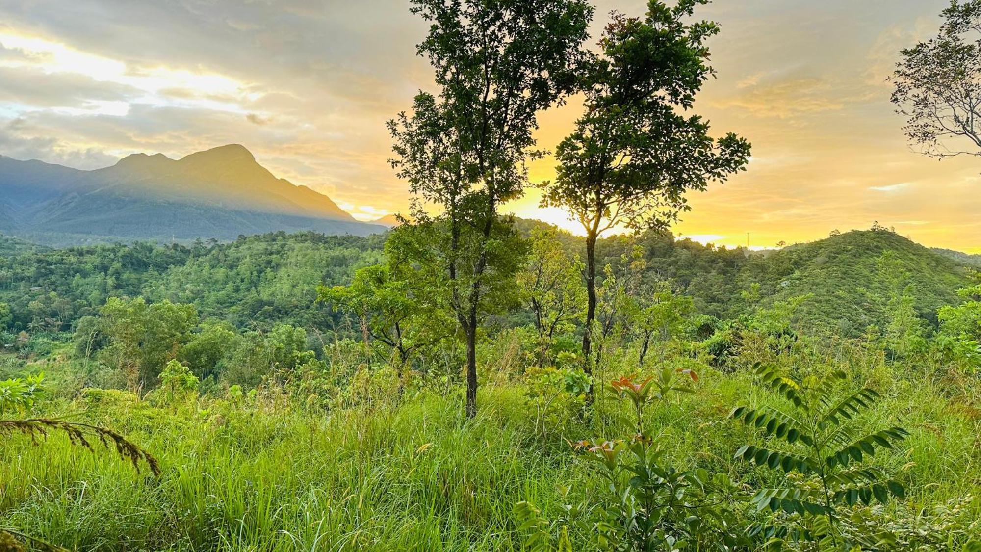 Kale Cottage Belihuloya Luaran gambar